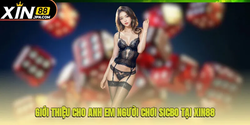 Giới thiệu cho anh em người chơi Sicbo tại Xin88 